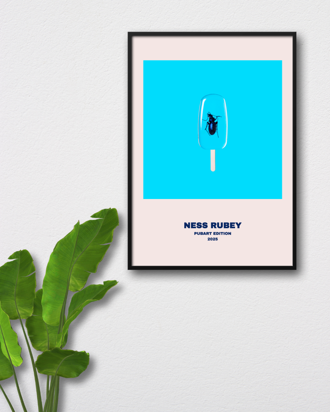BLING BLING PLEASURE // NESS RUBEY